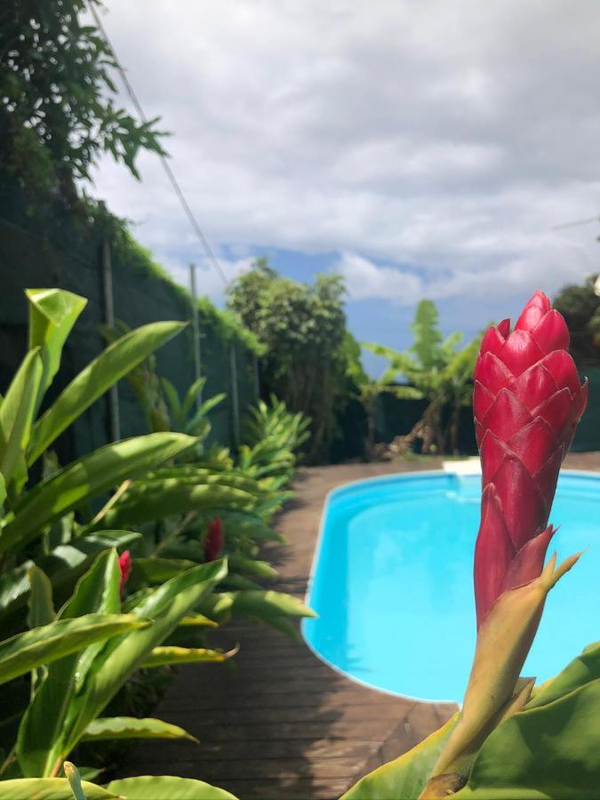 Ducharmoy Lodges Saint Claude Bagian luar foto